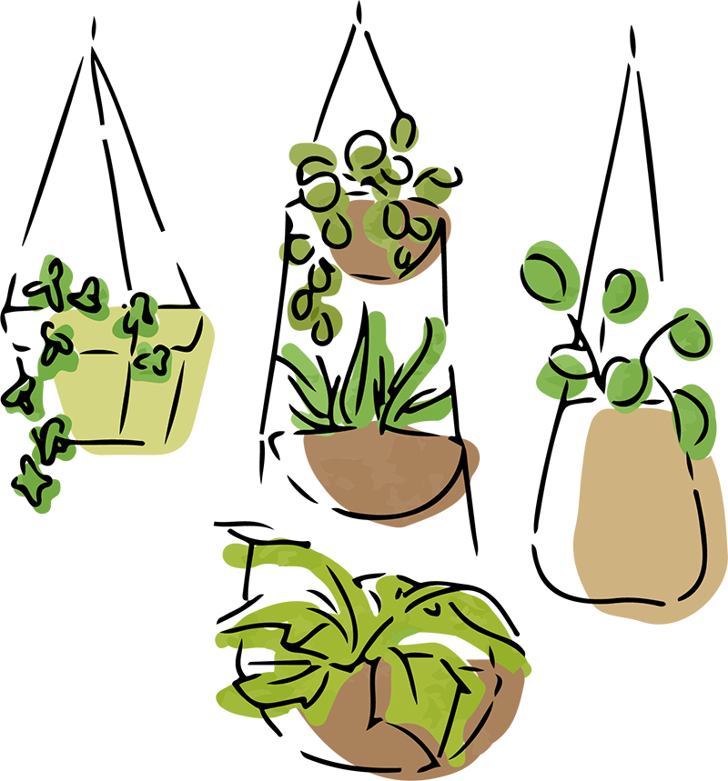 植物のイラスト