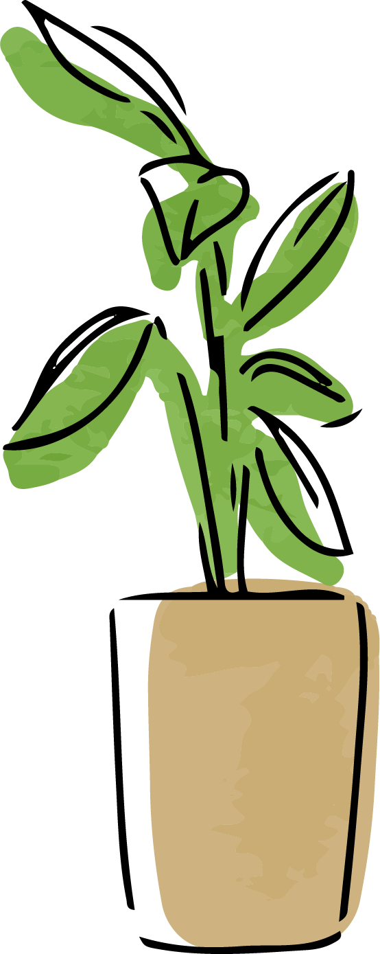 植物のイラスト